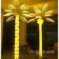 Coconut Palm Light
